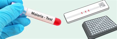 Best Malaria Test Kit Rapid Vs Elisa Jmitra And Co Pvt Ltd