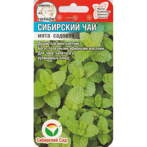 Мята "Сибирский чай" - Семена ВК Омск, Купить Семена в Омске