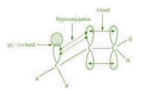 Explain why alkyl groups act as electron donors when attached to a π