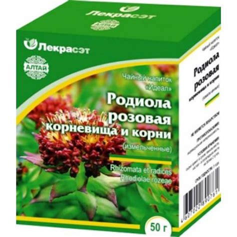 Золотой корень, лечебные свойства, применение для детей, женщин и ...