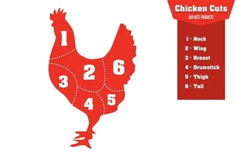 Partes Do Frango Conventionaltips