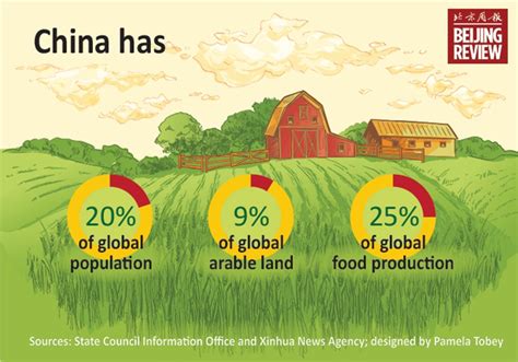 Food Security In China I Beijing Review