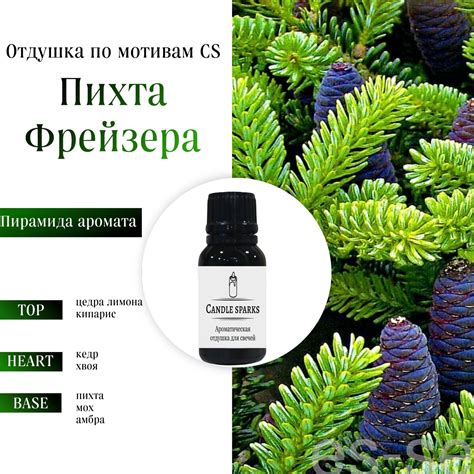 Ароматическая отдушка Пихта Фрейзера – candle-sparks.ru
