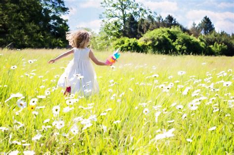 Free Images Nature Field Lawn Meadow Prairie Sunlight Flower