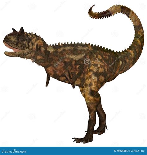 Dinossauro De Carnotaurus Ilustração Stock Ilustração De Monstro