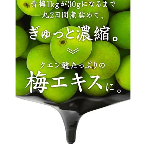 梅肉エキス 90g 栄養補助食品 紀州産青梅100％ 青梅をじっくり煮詰めて凝縮 ペースト状で使いやすい 自然の素材をそのまま活かした健康食品