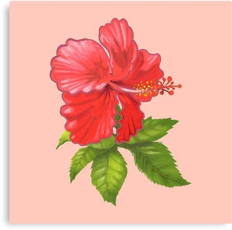 Buy Tropical Pink Hibiscus Flower By Newburyboutique As A T Shirt