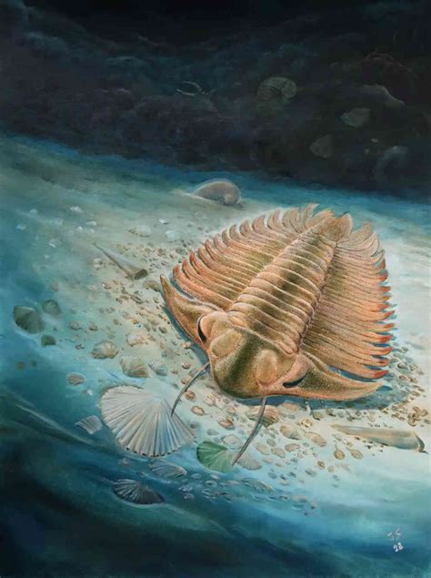 Unearthing Trilobite Secrets: Remarkable preservation shows the remains ...