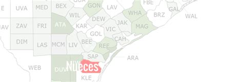 Explore Public & Vital Records of Nueces County, Texas