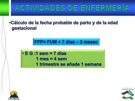 Ppt Cuidados De Enfermeria En El Trabajo De Parto Y Parto Powerpoint