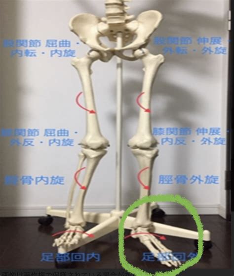 片足だけ足が開く人 ふくしま接骨院 福島の腰痛専門･交通事故治療