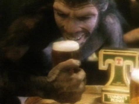 Tennents Pilsner | TVARK