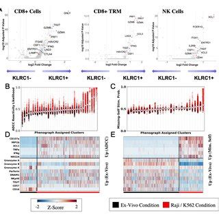 KLRC1 NKG2A Expression Stratifies NK And CD8 T Cell Capacity For