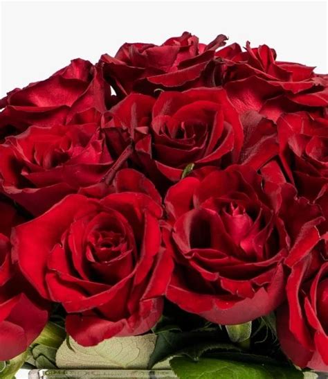 Classic Red Rose Arrangement In Riyadh Joi Ts