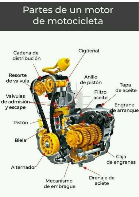 Partes De Un Motor De Motocicleta Jorge Udocz