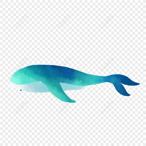 Whale Watercolor Whale Cartoon Whale Green Whale Free PNG And