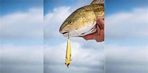 Best Lures For Catching Redfish In Texas Catching Redfish