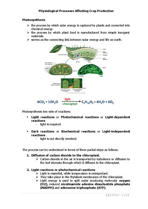 Photosynthesis - Physiological Processes Affecting Crop Production ...