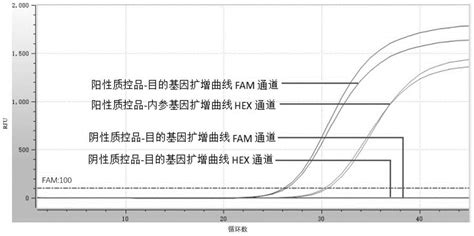 一种用于定量检测耶氏肺孢子菌的试剂盒和方法与流程