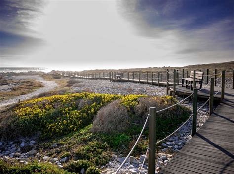 Nights At Agulhas Rest Camp Agulhas National Park Sanparks Budget