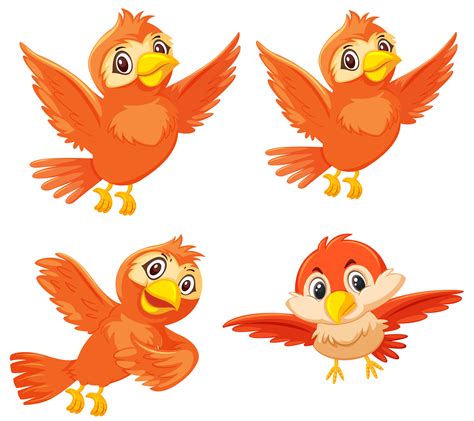 Set Of Cute Orange Birds 614023 Vector Art At Vecteezy