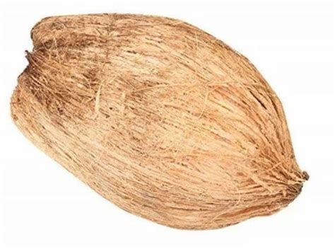 Solid B Grade Large Semi Husked Coconut Packaging Size Piece At