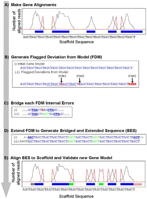 Overview Of The Structural Annotation Analysis Method In The