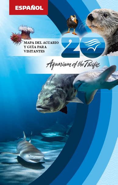 Aquarium Of The Pacific Visit Plan Your Visit