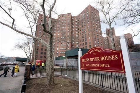 Nycha Doesnt Have Plan To Overhaul Lead Exposed Bronx River Houses