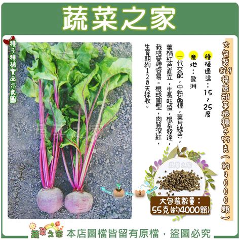 【蔬菜之家滿額免運】大包裝c19福康甜菜根種子55克約4000顆一代交配，中熟品種，葉片綠色，葉柄紅色直立 蝦皮購物