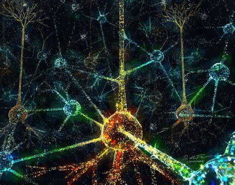 Cracking The Neural Code Scientists Uncover How The Brain Processes