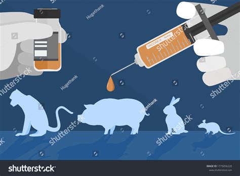 40,783 Animals Experiments Images, Stock Photos & Vectors | Shutterstock