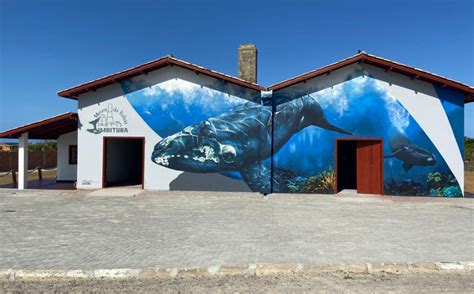 Museu Nacional da Baleia Franca em Imbituba será reinaugurado UNITV