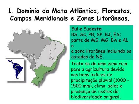 Ppt Dom Nio Da Mata Atl Ntica Florestas Campos Meridionais E