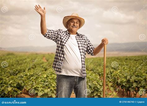 Mature Farmer With A Shovel Greeting From A Grape Vine Field Stock