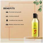 Buy Jiva Ayurveda Amla Hair Oil Rich In Vitamin C For Anti Dandruff