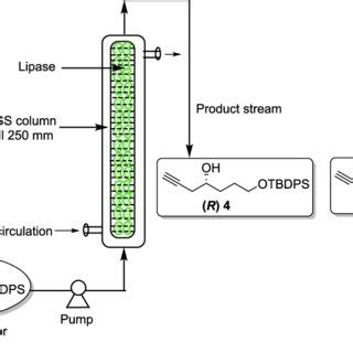 Schematic representation of the PBR. | Download Scientific Diagram