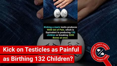 FACT CHECK Kick On Testicles As Painful As Giving Birth To 132