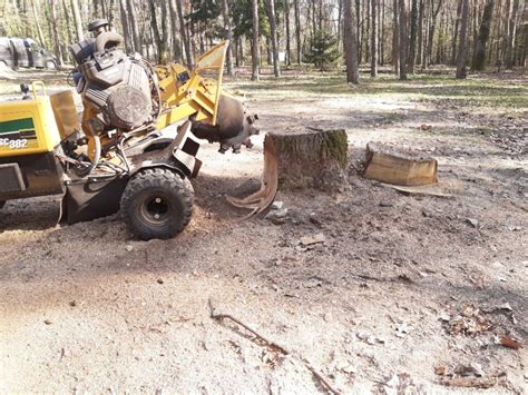 Usługa Frezarką Frezowanie Karp Usuwanie Pni Korzeni frezarka drzew