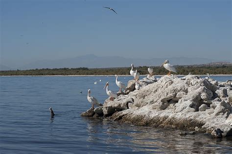 What Is An Important Bird Area? - WorldAtlas