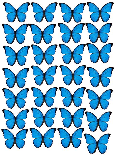 Borboletas Azuis Butterfly Template Paper Butterfly Diy Bouquet Wrap