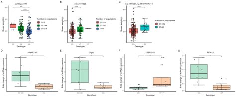 The Breast Muscle Weight And Expression Levels Of Candidate Genes In