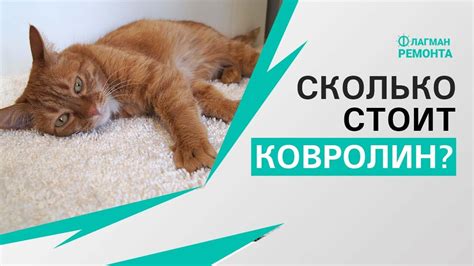 Сколько стоит ковролин? - YouTube