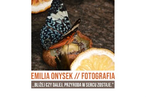 Wystawa Fotografii Emilii Onysek Bli Ej Czy Dalej Przyroda W Sercu