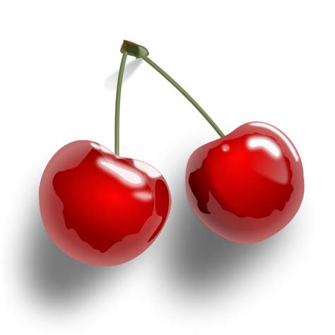 Cherries With Shadow Vector Clip Art Free Svg