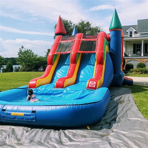 Bluey Bounce House Bluey Theme Birthday Party Rental