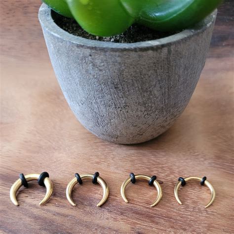 Septum Piercing Kit Etsy