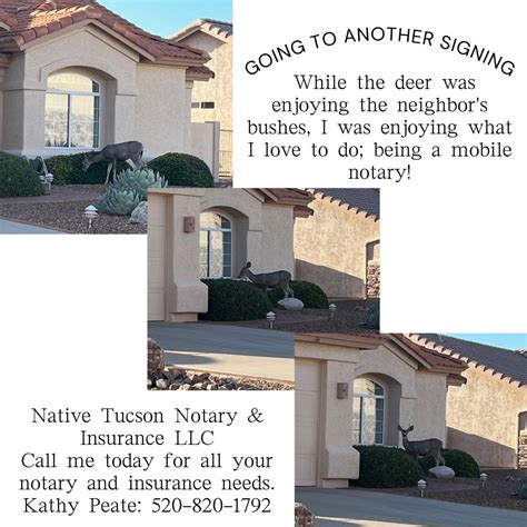 how to become a notary tucson