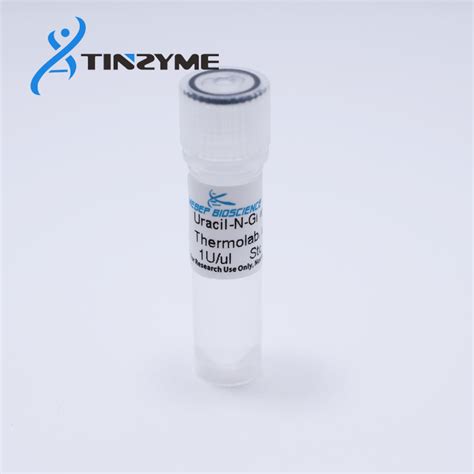 Uracil Dna Glycosylase Ung Thermolabile Udg Hotlabile Buy Uracil Dna