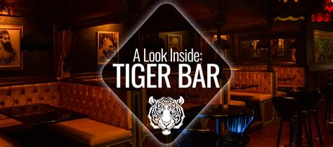 A Look Inside Tiger Bar Nashville Guru